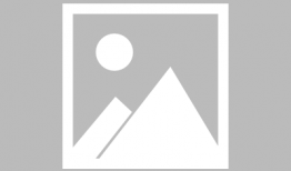 91 电视直播1.20,1月20日精彩节目预告